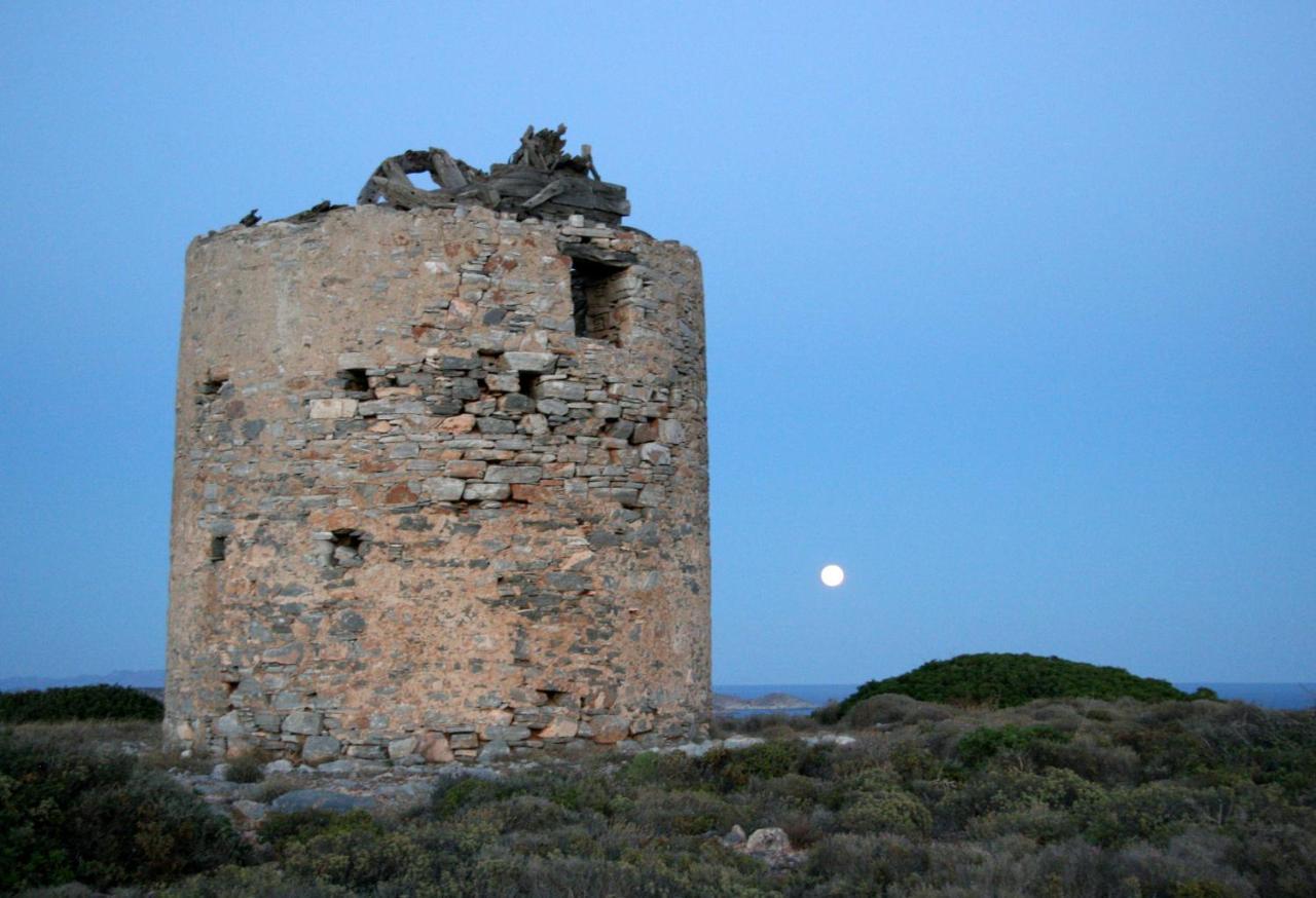 Villa Zografos Irakleia  Dış mekan fotoğraf