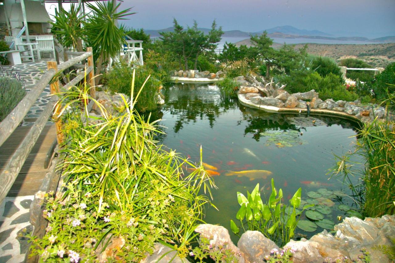 Villa Zografos Irakleia  Dış mekan fotoğraf
