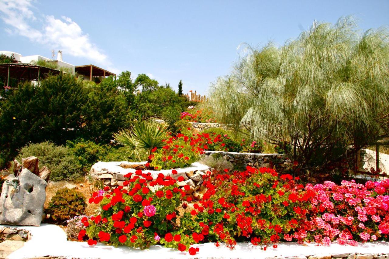 Villa Zografos Irakleia  Dış mekan fotoğraf