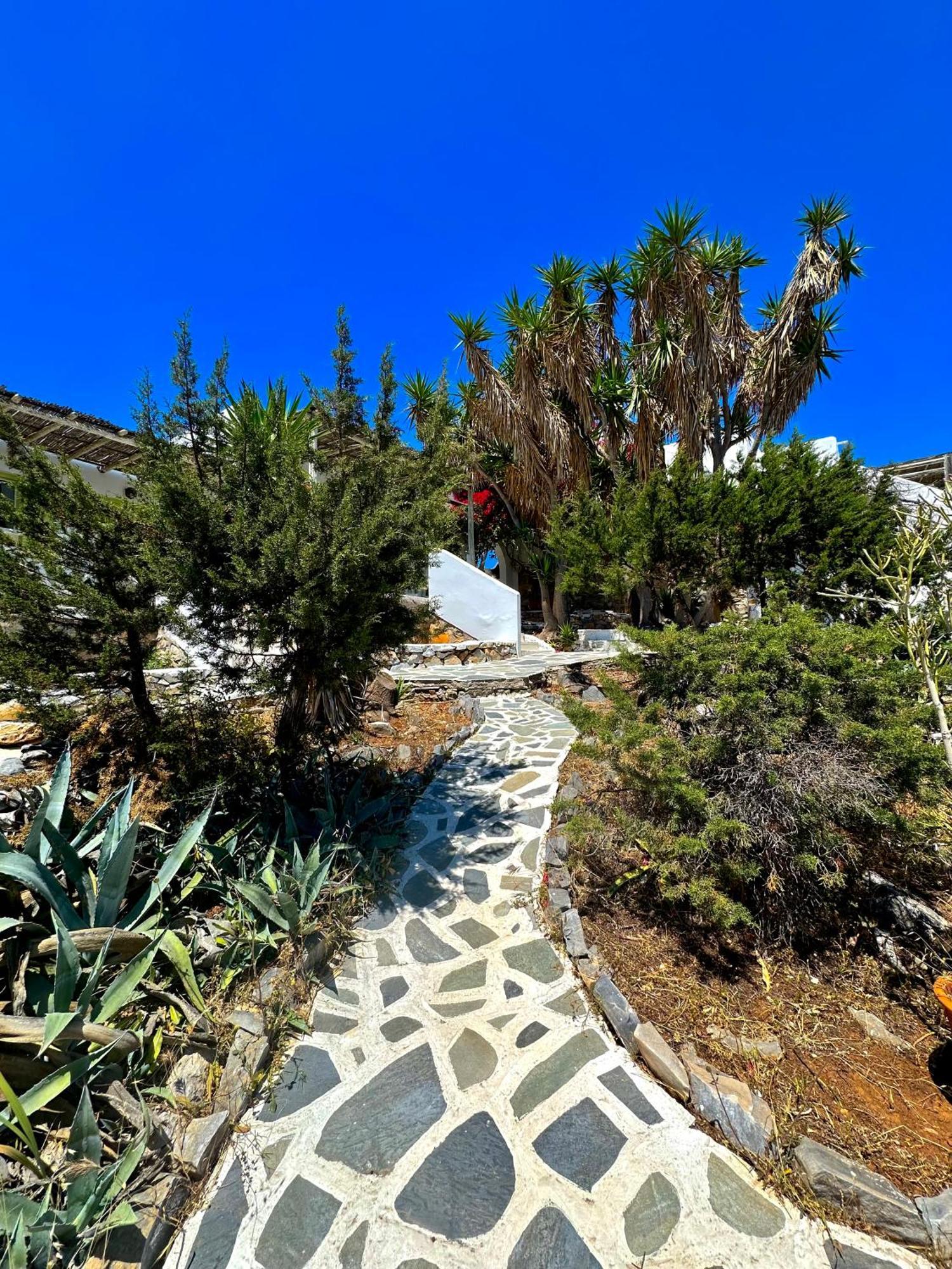 Villa Zografos Irakleia  Dış mekan fotoğraf